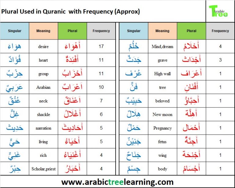 plural-singular-learning-arabic-learn-arabic-online-arabic-language